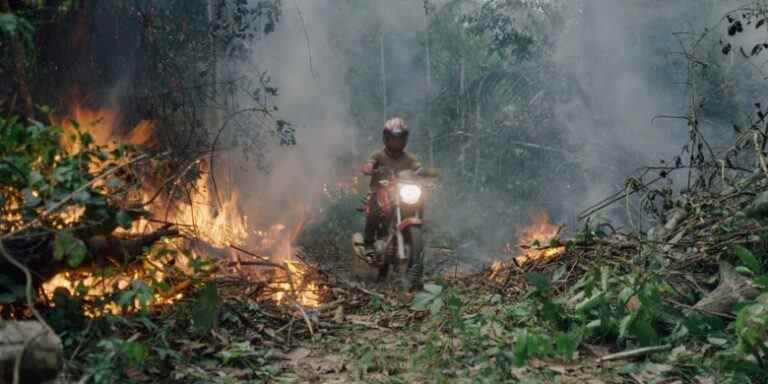  À l'intérieur de la mission de réalisation de films environnementaux de Darren Aronofsky, de "Mother!"  à 'Le Territoire'
