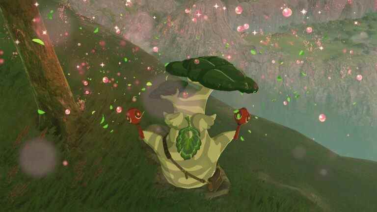 Aléatoire: Zelda: Breath Of The Wild Trick vous donne toutes les graines de Korok en 10 minutes
