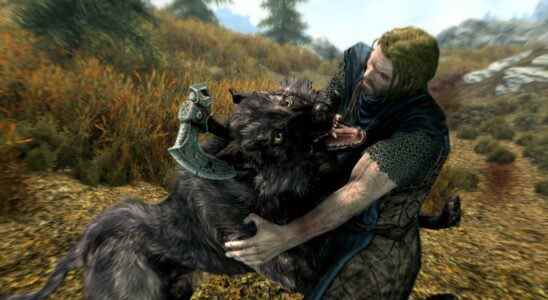 Skyrim man fighting wolf