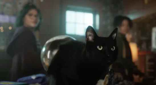 Il n'y a pas de chats qui parlent dans Hocus Pocus 2, mais Thackery Binx reviendra