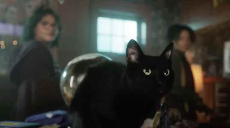 Il n'y a pas de chats qui parlent dans Hocus Pocus 2, mais Thackery Binx reviendra
