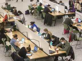 Des étudiants en masques étudient à la DB Weldon Library de la Western University de Londres le mardi 15 mars 2022. (Derek Ruttan/The London Free Press)