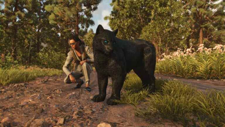 Le développeur de Far Cry 6 révèle un mémorial à son chat caché dans le jeu