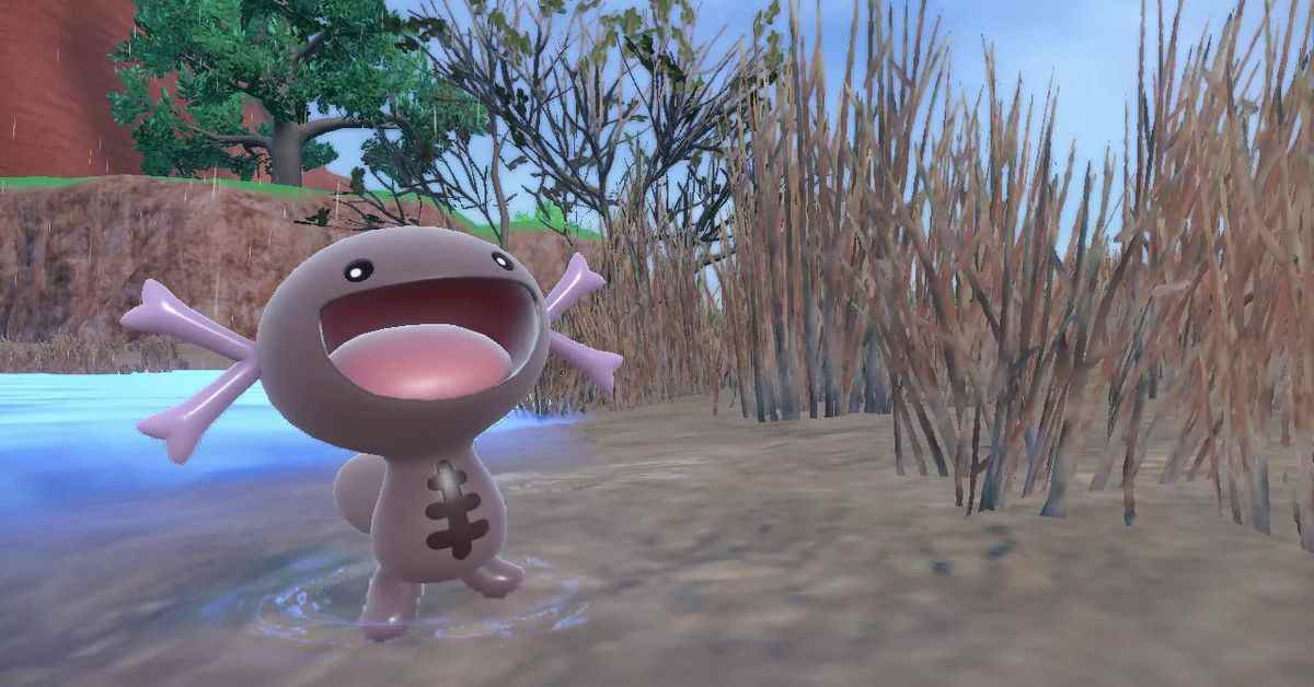 Tout le monde aime 'Pooper', le nouveau Wooper de Pokémon Scarlet et Violet
