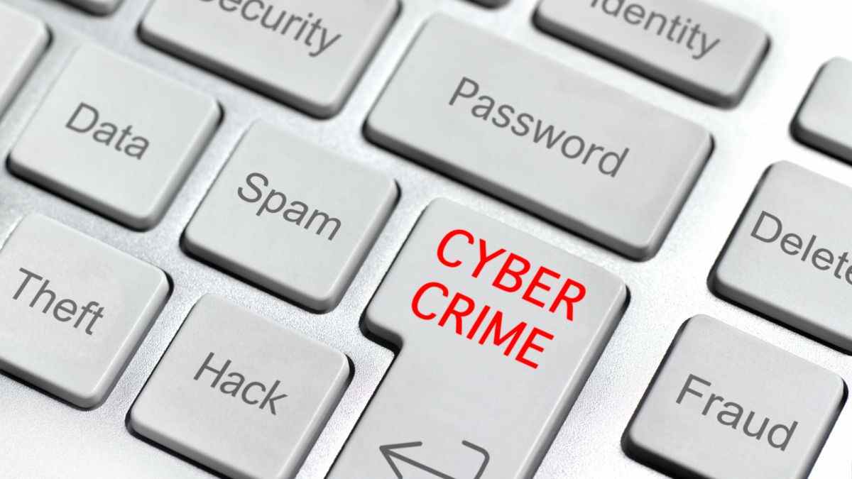 Cyber Crime Button