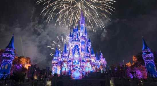 Happily Ever After fireworks at Magic Kingdom