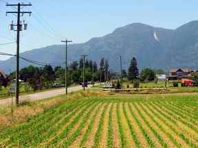 Terres agricoles à Chilliwack, C.-B.