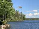 Un hélicoptère militaire Bell CH-146 Griffon participe à une opération de sauvetage dans le parc Algonquin, comme en témoigne un journaliste du National Post.