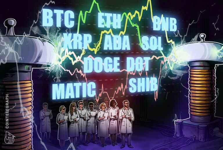 BTC, ETH, BNB, XRP, ADA, SOL, DOGE, POINT, MATIC, SHIB