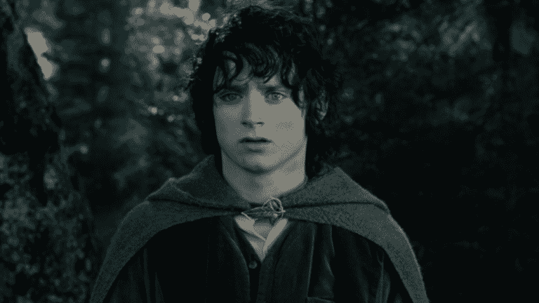 Elijah Wood as Frodo Baggins in Lord of the Rings