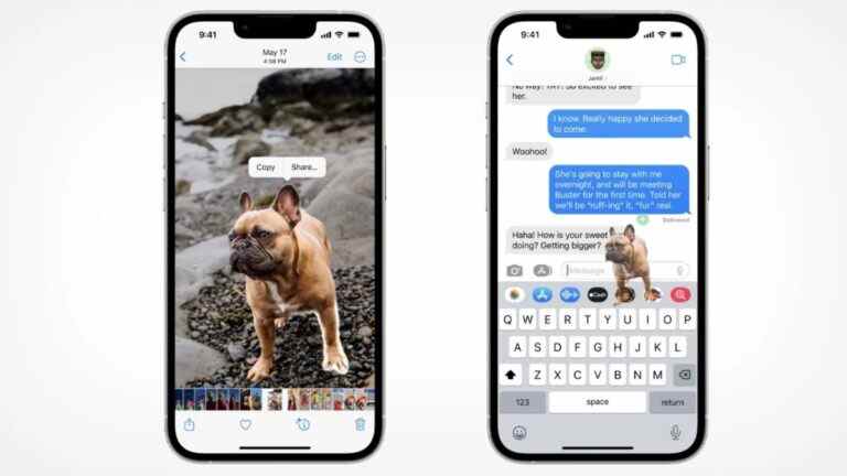 Daily Crunch : Tout ce que je peux voir, c’est vous — Les utilisateurs d’iOS 16 profitent de la nouvelle fonctionnalité de suppression de l’arrière-plan des photos