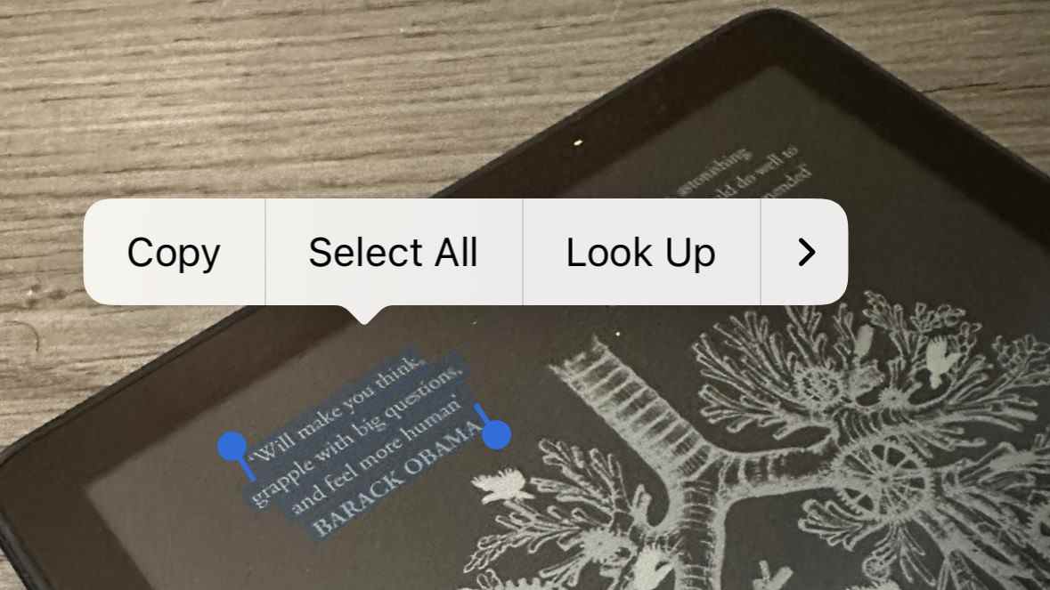 Comment copier du texte à partir d'une image sur iPhone