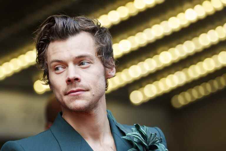 Harry Styles dit que « le temps perdu » est le thème le plus important de « Mon policier »