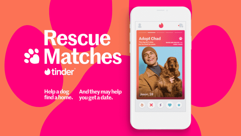 Tinder trouve une meilleure utilisation en ajoutant des chiens adoptables à son application pour célébrer la Semaine nationale du chien