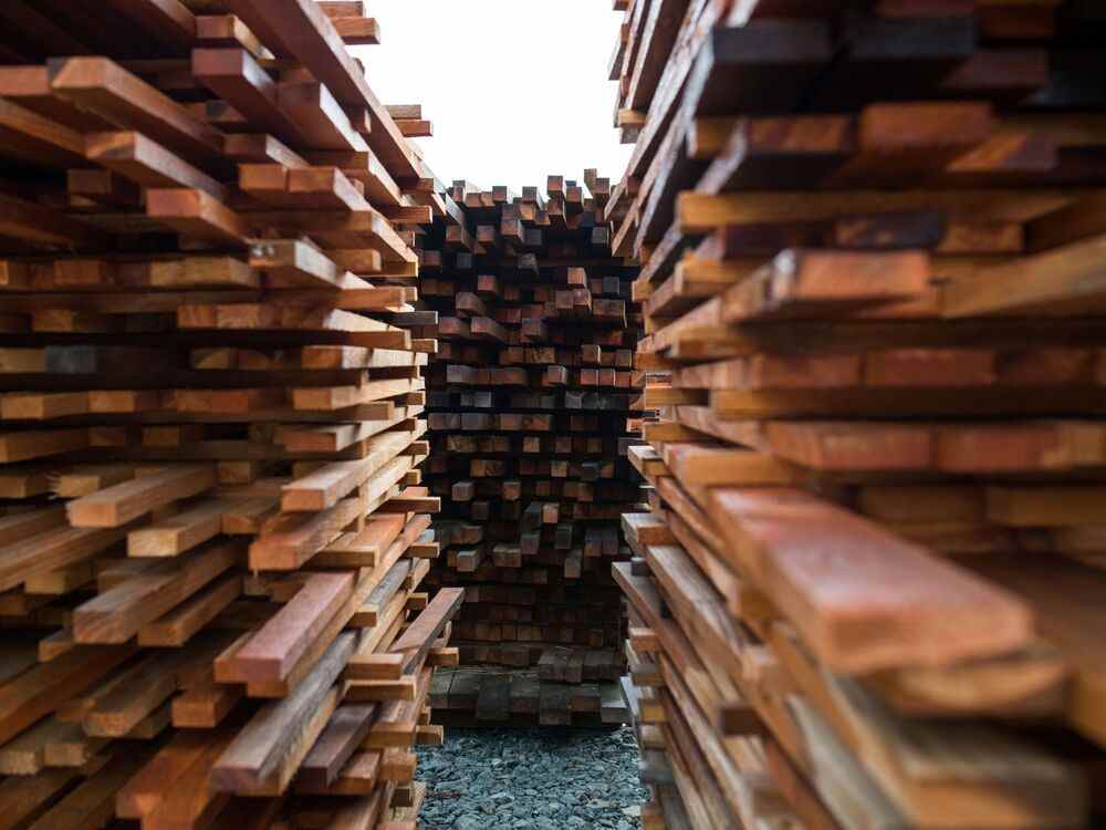 Piles de bois coupé dans une scierie à Sooke, en Colombie-Britannique.
