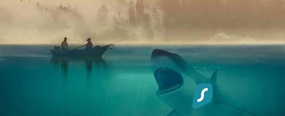 VPN Surfshark – tout ce que vous devez savoir