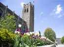 Université Western (DEREK RUTTAN/The London Free Press)