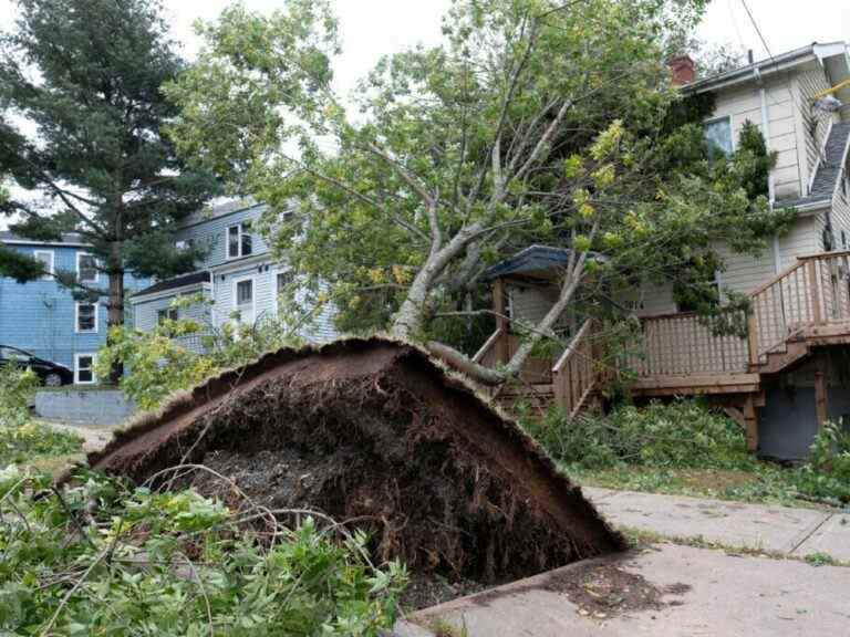 La piste de destruction de Fiona au-dessus du Canada atlantique en photos