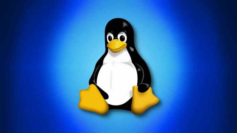 Le sous-système Windows pour Linux fonctionne désormais avec plus d’applications