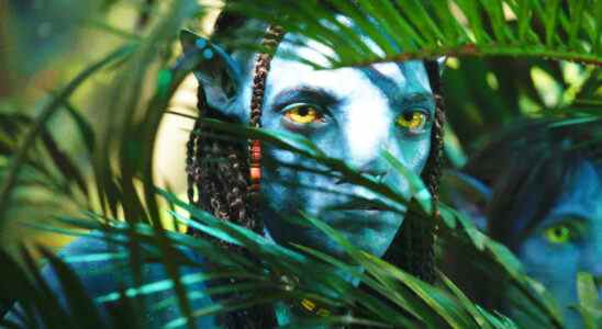 Avatar : The Way Of Water Footage Description : Il est enfin temps de retourner sur Pandora [D23]