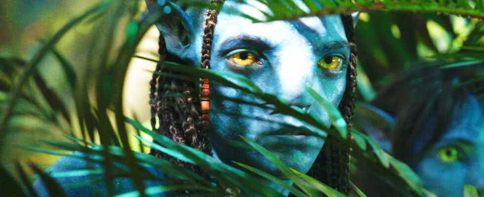 Avatar : The Way Of Water Footage Description : Il est enfin temps de retourner sur Pandora [D23]