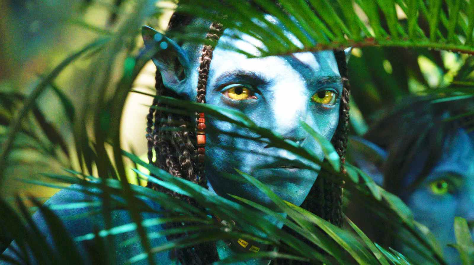 Avatar : The Way Of Water Footage Description : Il est enfin temps de retourner sur Pandora [D23]
