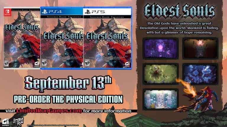 Eldest Souls obtient une sortie physique sur Switch
