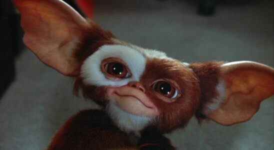 Gizmo in Gremlins