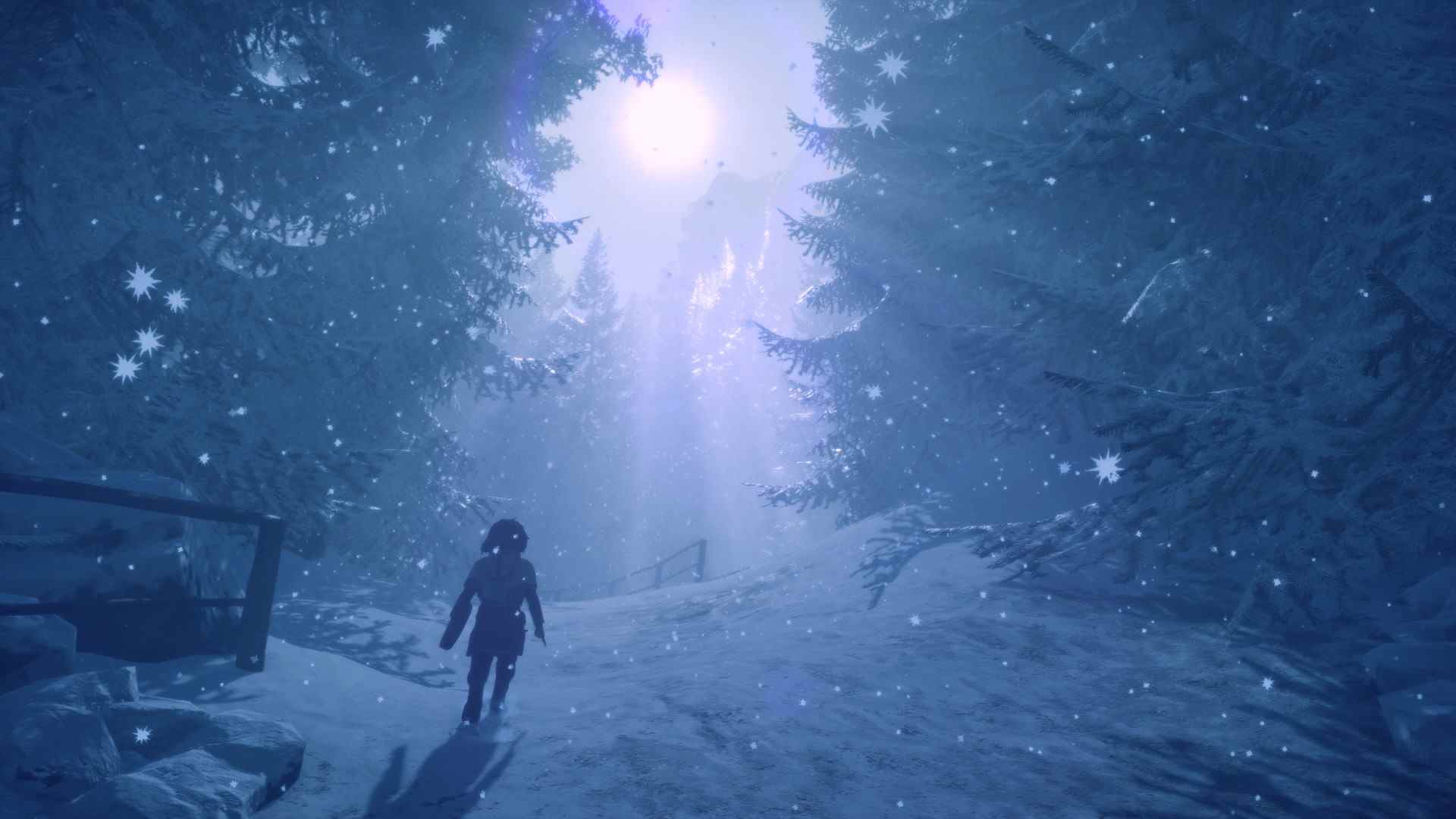 Jeu de puzzle d'aventure Skábma: Snowfall prévu pour Switch
