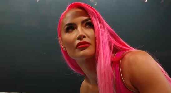 Eva Marie in the WWE