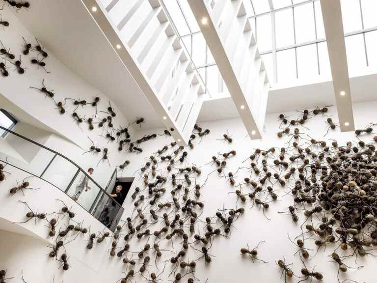 Le Rijksmuseum d’Amsterdam grouillant de fourmis géantes