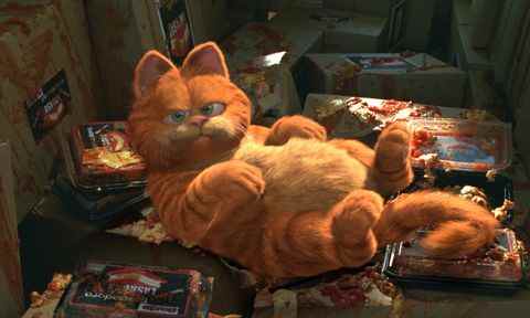 garfield dans le film garfield 2004