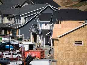 Maisons en construction dans un lotissement à Langford, C.-B.