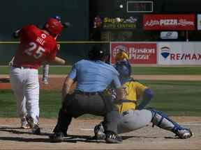 Logan Hill et les Goldeyes entament leur post-saison contre les Fargo-Moorhead RedHawks mercredi soir.