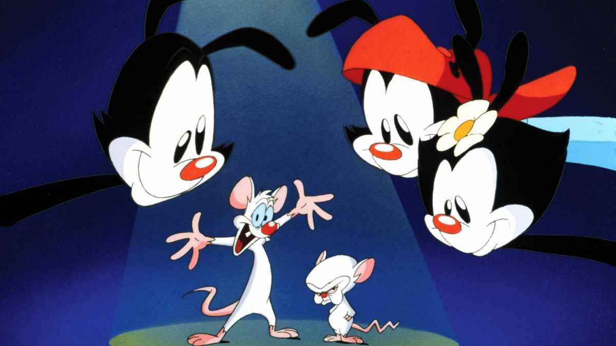 Une image d'une ouverture d'Animaniacs, avec Yakko, Wakko et Dot penchés sur Pinky et le cerveau devant un arrière-plan abstrait