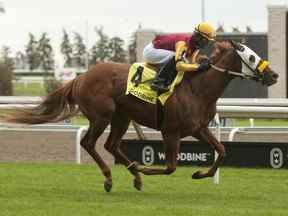 Le jockey de l'hippodrome de Woodbine, Patrick Husbands, guide Poulin en OT vers la victoire dans les 7 Furl $100,000 Guaranteed Bull Page Stakes sur le parcours en gazon EP Taylor pour les propriétaires Steve Owens et Empress Stable et l'entraîneur Steve Owens.  Photo de Woodbine/Michael Burns