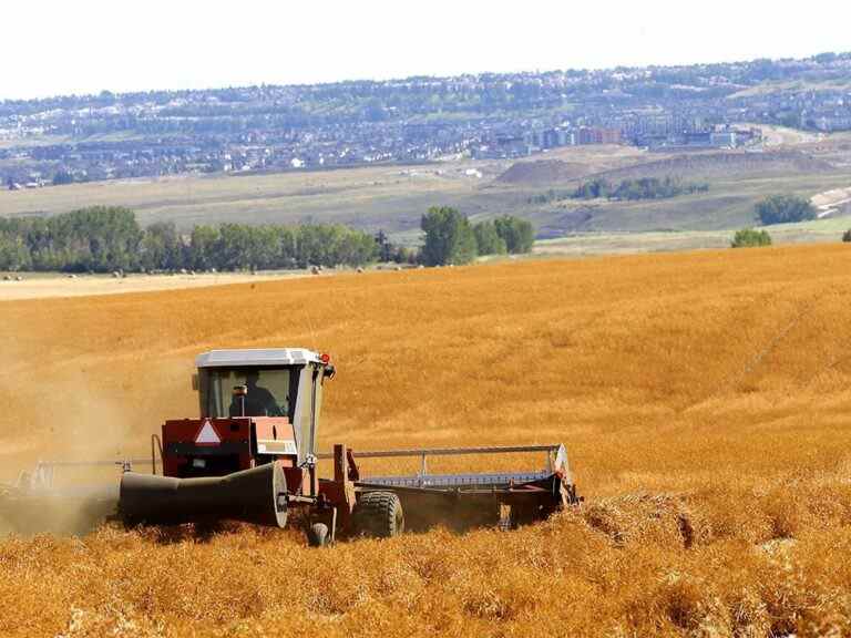 Opinion: Il y a de l’espoir pour réduire les émissions et augmenter la production alimentaire