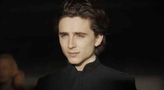 Timothee Chalamet in Dune