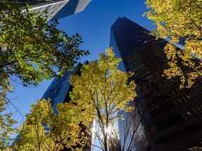 Les gratte-ciel du centre-ville de Calgary sont encadrés par les feuilles aux couleurs automnales le mercredi 28 septembre 2022.