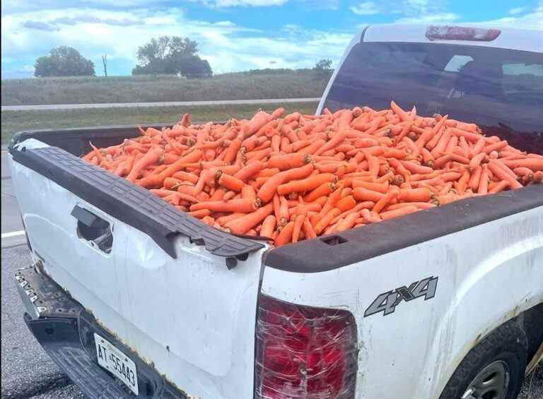 QUOI DE NEUF, DOC?: Un conducteur ontarien arrêté avec une charge de carottes non sécurisée