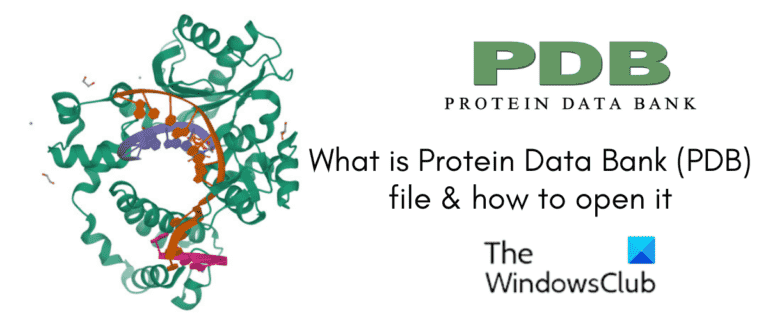 Qu’est-ce qu’un fichier Protein Data Bank (PDB) ?  Comment l’ouvrir sous Windows ?