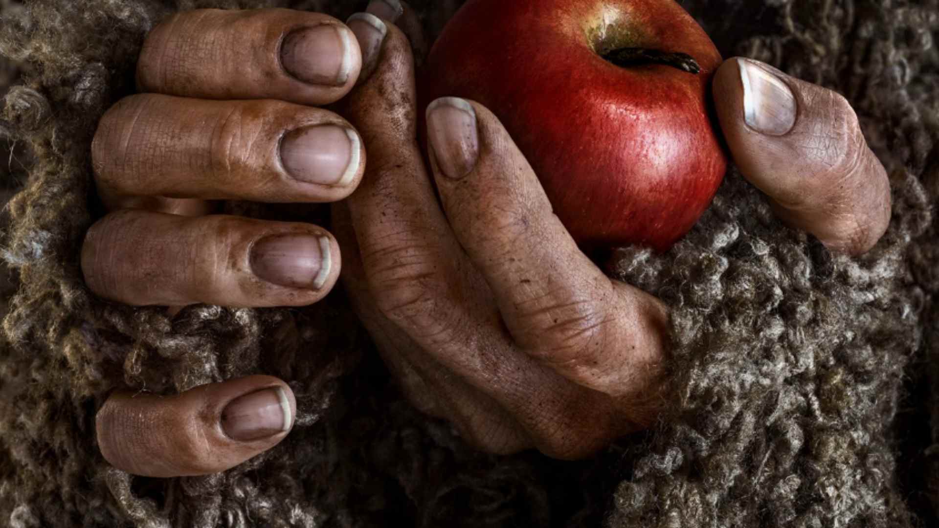 L'Étranger dans Le Seigneur des Anneaux : Les Anneaux de Pouvoir