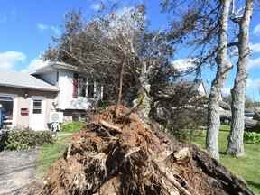 Le propriétaire George MacDonald décrit le moment où plusieurs arbres ont atterri sur sa maison à Glace Bay, en Nouvelle-Écosse, le dimanche 25 septembre 2022.