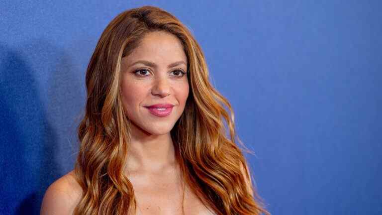 Shakira aborde la fraude fiscale présumée : "Je dois me battre pour ce que je crois"
