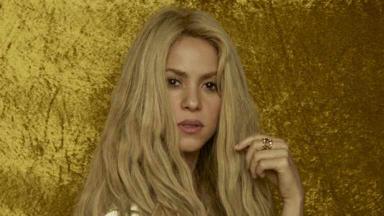 Shakira répond aux allégations de fraude fiscale "fictives" : "C'est probablement l'heure la plus sombre de ma vie"
	
	
