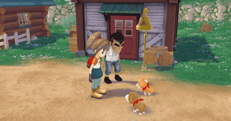 Story of Seasons: A Wonderful Life en cours de refonte pour Nintendo Switch
