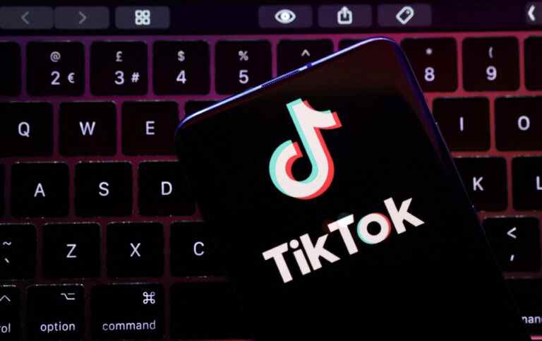 TikTok accorderait « un peu plus de clémence » aux comptes populaires