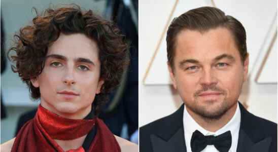 Timothée Chalamet révèle que Leonardo DiCaprio lui a donné des conseils de carrière : "Pas de drogues dures et pas de films de super-héros" Les plus populaires doivent être lus Inscrivez-vous aux newsletters Variété Plus de nos marques