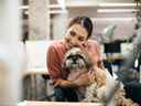 Jeune femme d'affaires heureuse tenant son chien tout en prenant une pause du travail au bureau.