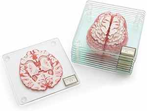 Sous-verres de cerveau